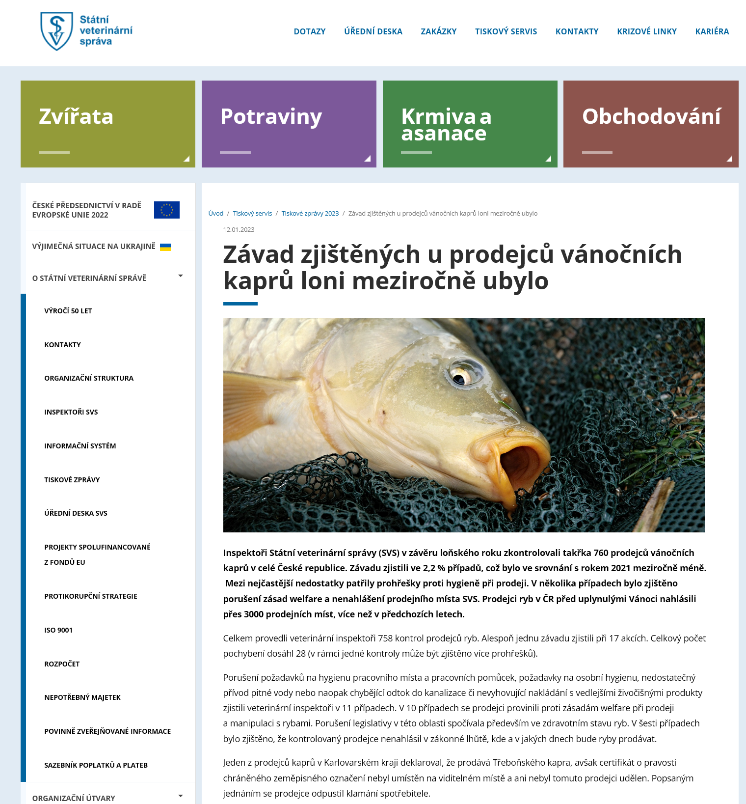 Závad zjištěných u prodejců vánočních kaprů loni meziročně ubylo